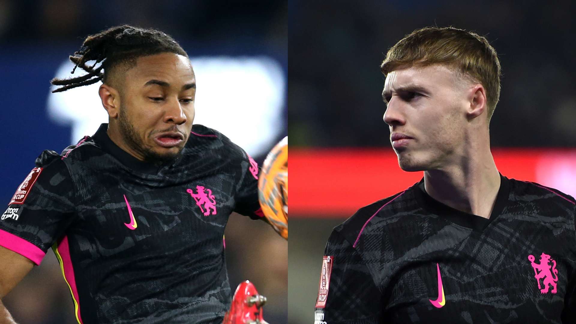 排球逐渐成 排球逐渐成