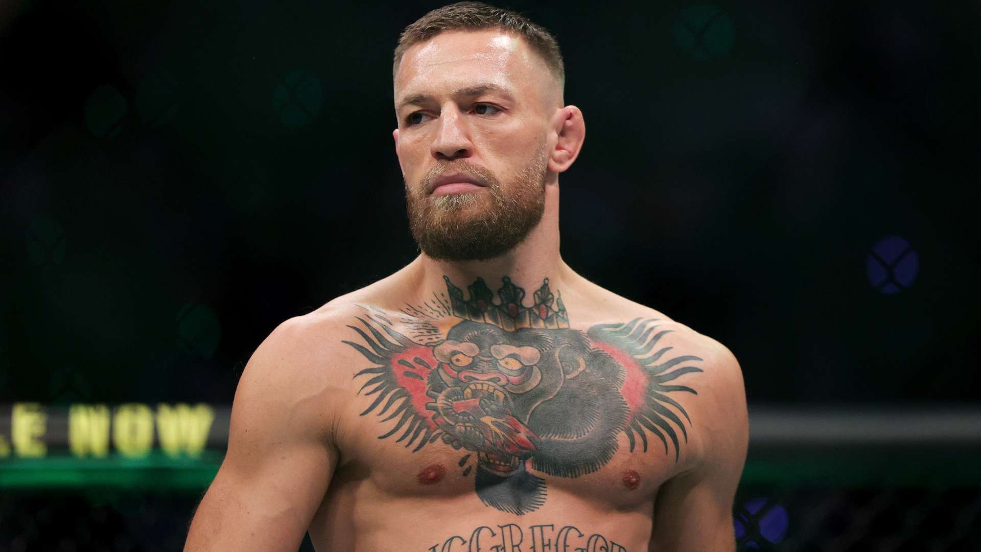 的表现和影 的表现和影